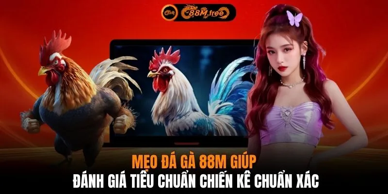 Mẹo đá gà 88M giúp đánh giá tiêu chuẩn chiến kê chuẩn xác