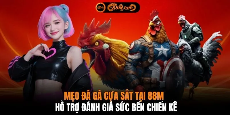 Mẹo đá gà cựa sắt tại 88M hỗ trợ đánh giá sức bền chiến kê