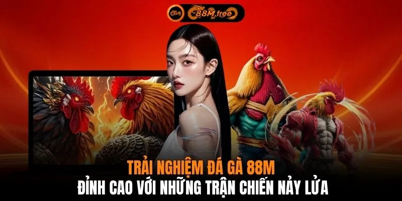 Trải nghiệm đá gà 88M đỉnh cao với những trận chiến nảy lửa