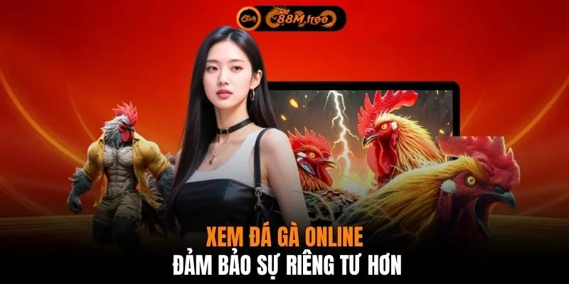 Xem đá gà online đảm bảo sự riêng tư hơn